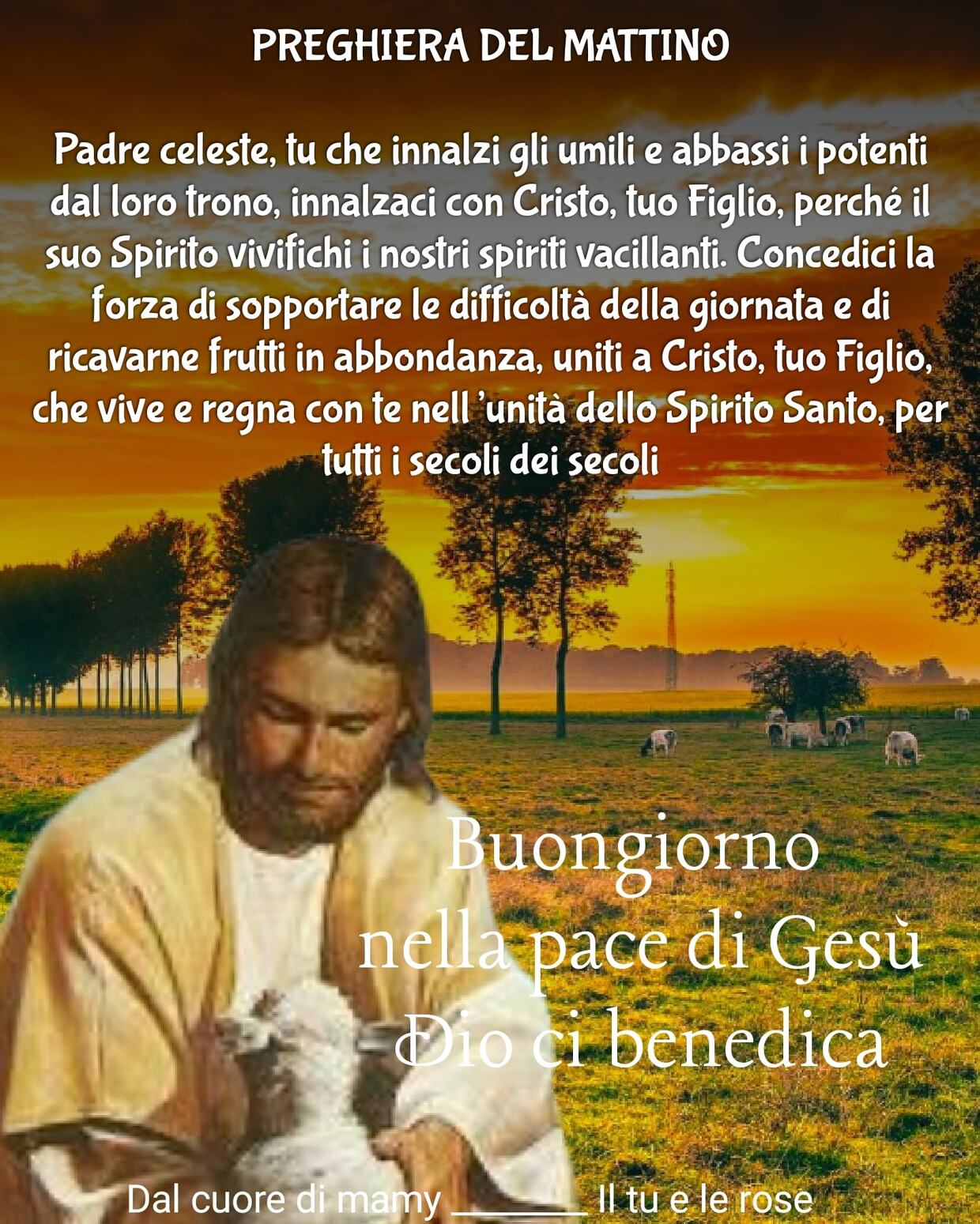 33+ Preghiere Del Mattino Da Recitare Ogni Giorno - ImmaginiGesu.it