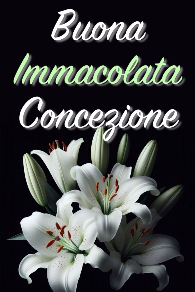 Un bigliettino di auguri per l'Immacolata Concezione con dei bellissimi fiori di giglio color bianco.